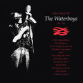 PRE-ORDER: The Best of the Waterboys '81-'90 Vinyl Record