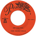 Any Old Fool B/W Price I'Ll Pay Vinyl Record