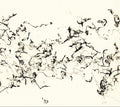 There Is No More Firmament Music CD