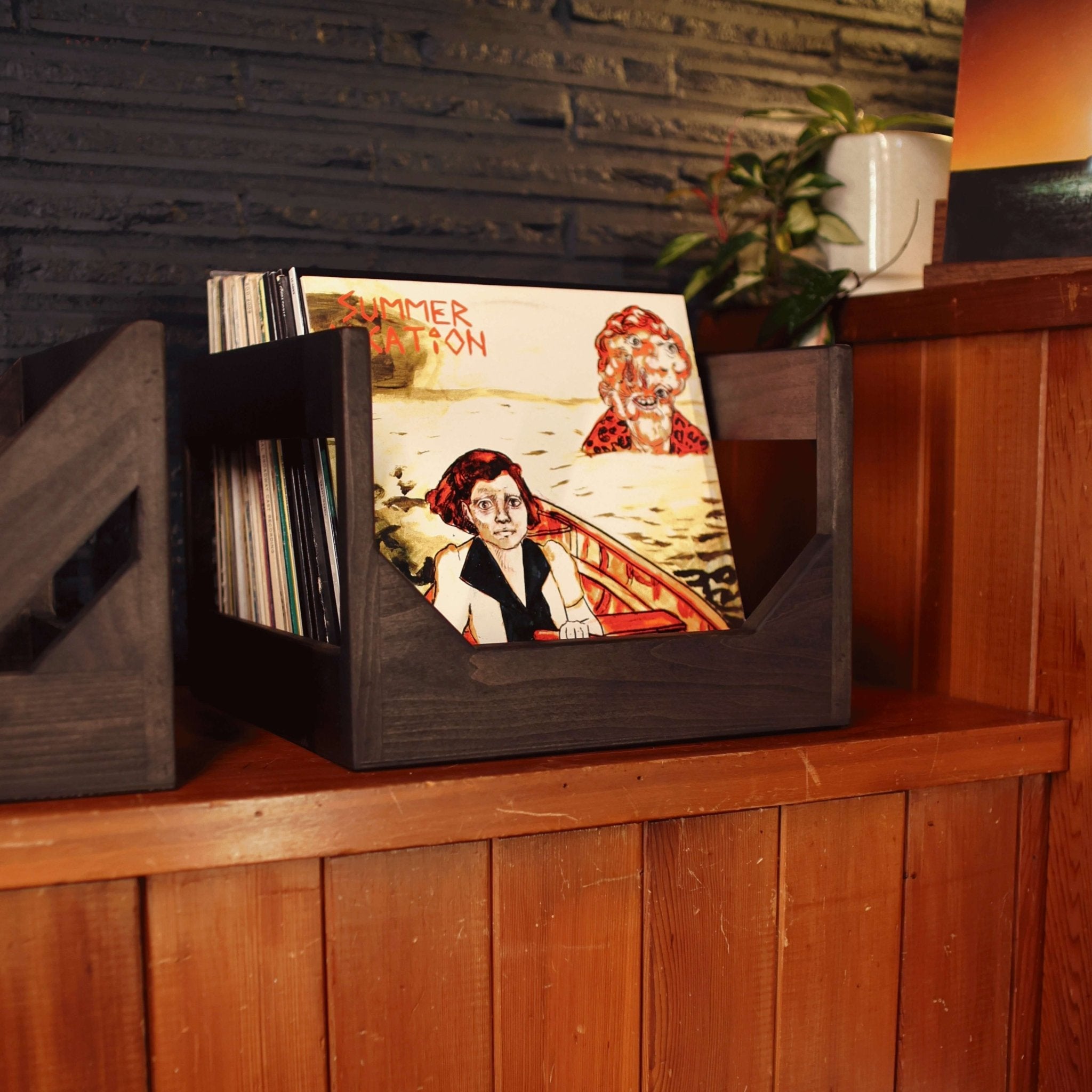 The Cube 12" Vinyl Record Storage Crate