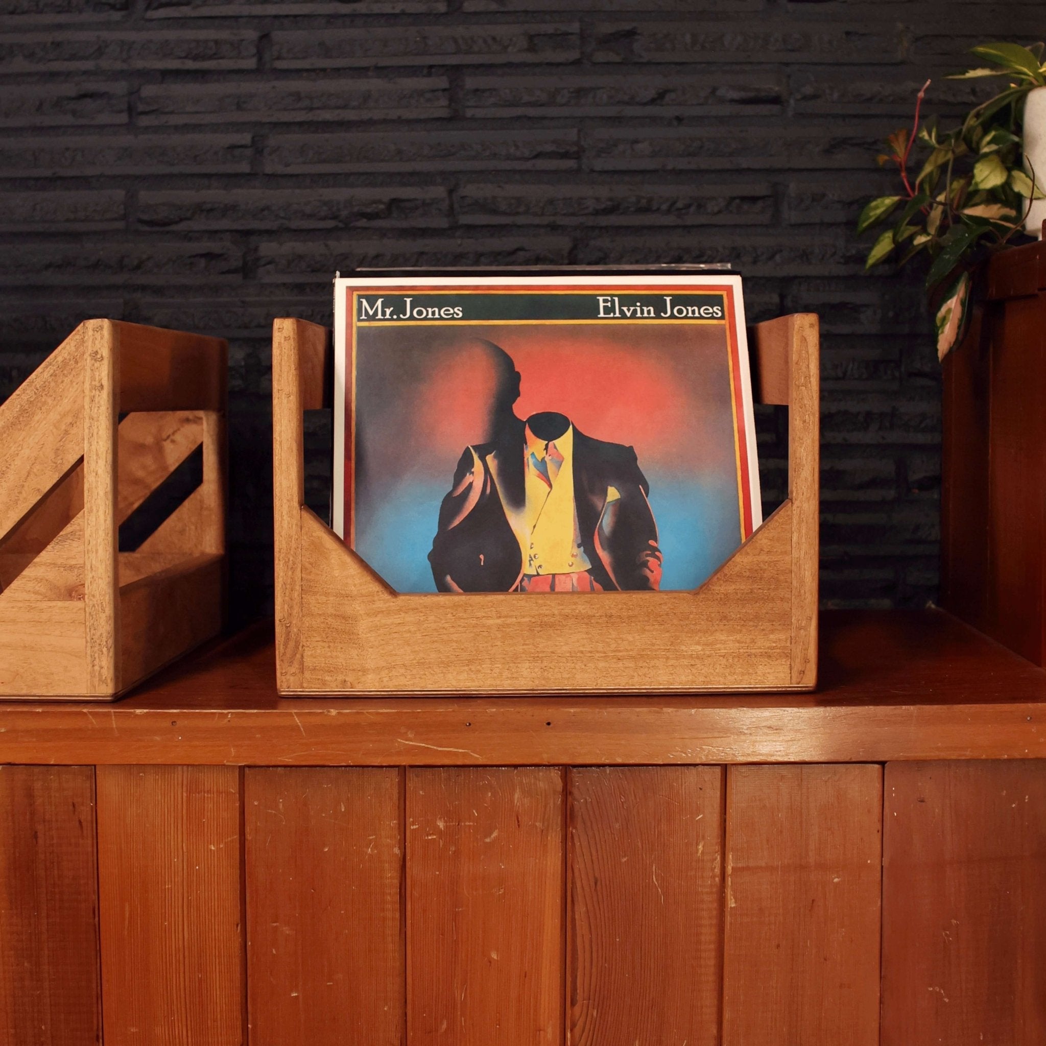 The Cube 12" Vinyl Record Storage Crate