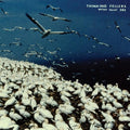 These Things Remain Unassigned (Vinyl) Vinyl Record
