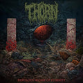 Nebulous Womb Of Eternity Music CD