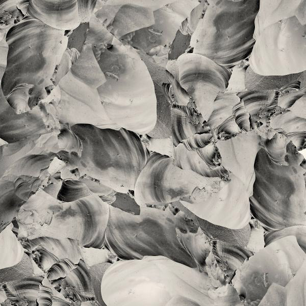 Ideas Of Aesthetics Vinyl Record
