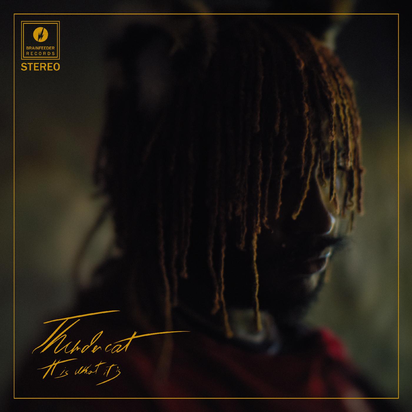 Thundercat - It Is What It Is (Clear Vinyl) |