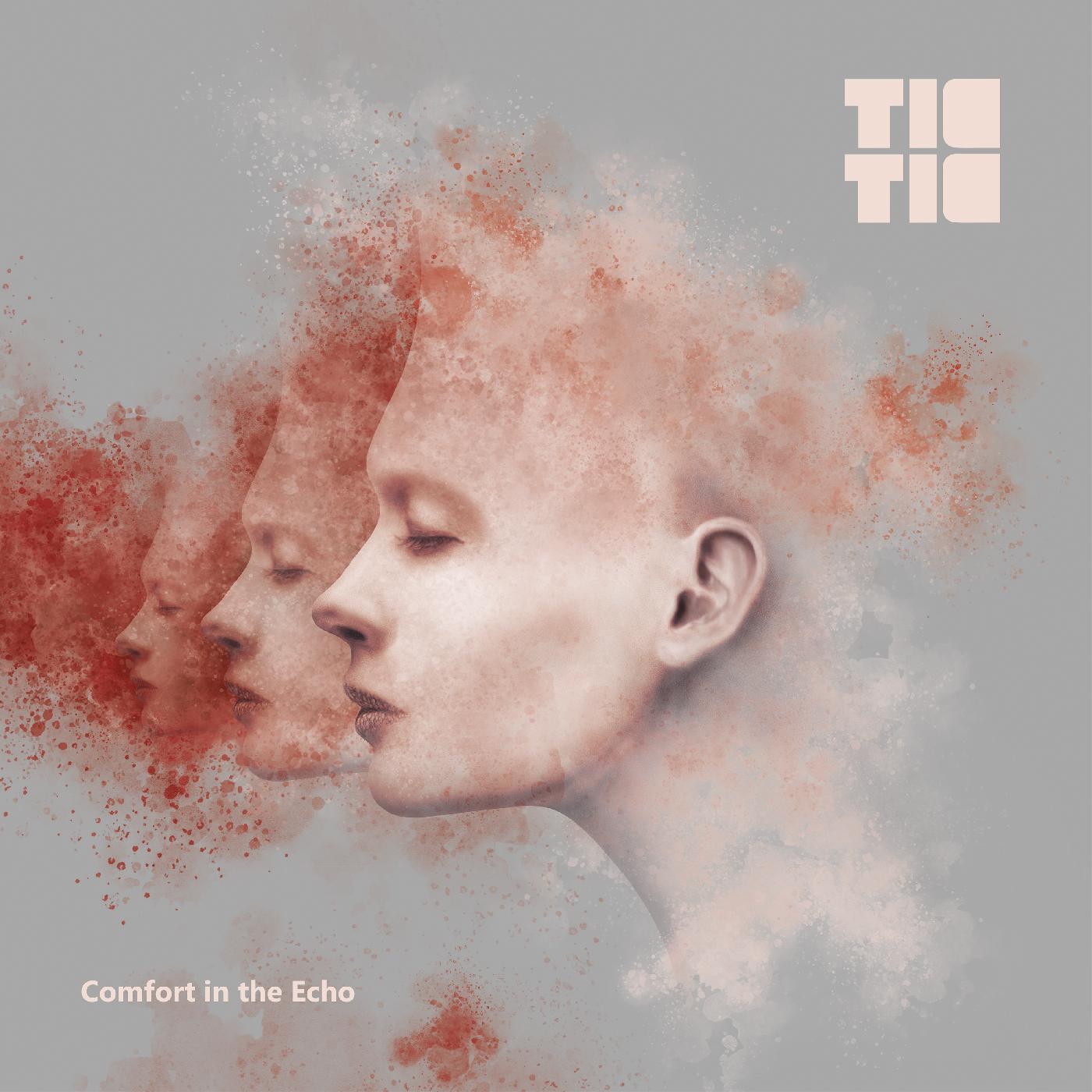 Comfort in Echo Vinyl Record
