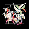 Breathing In The Walls Music CD