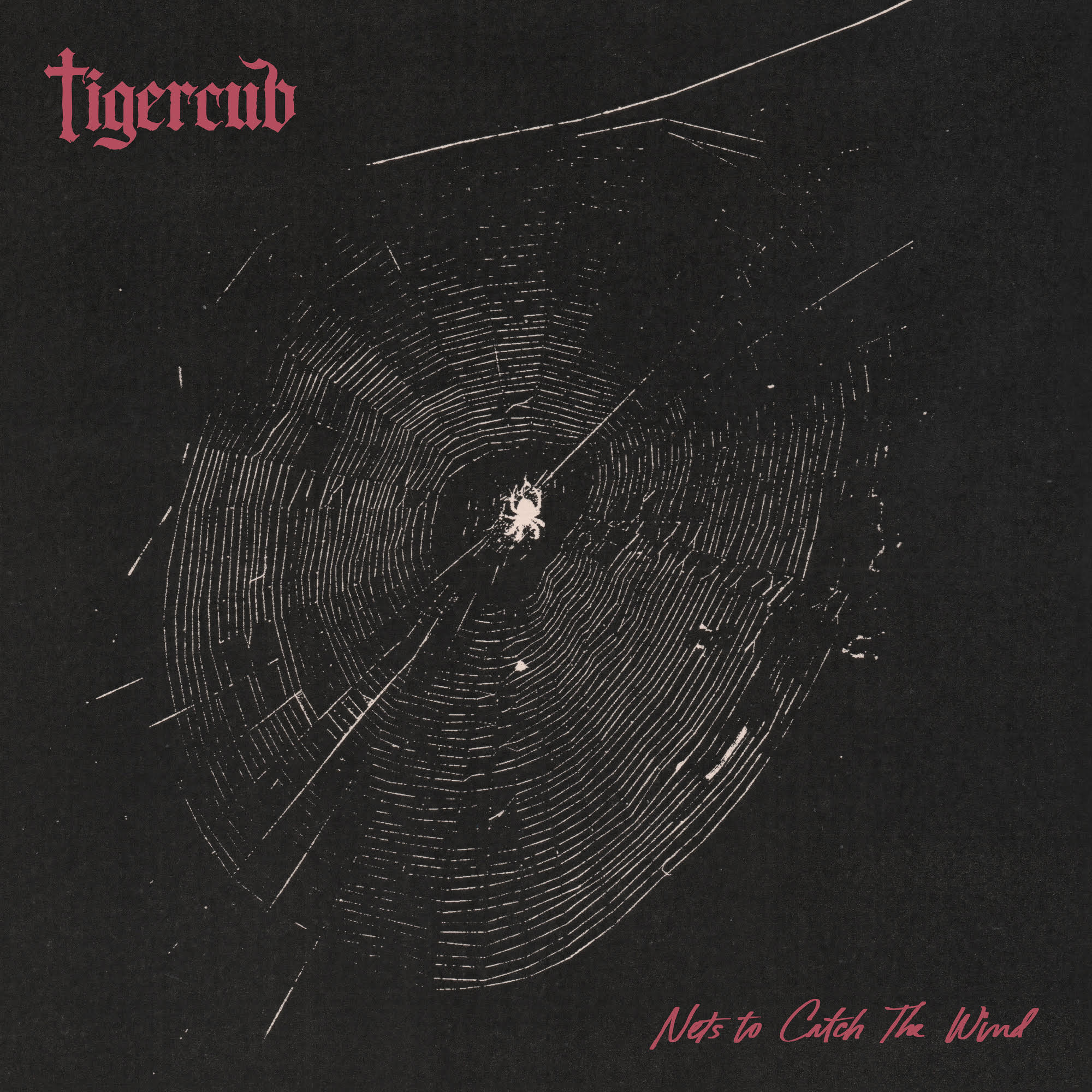 Nets To Catch The Wind (Indie Exclusive) [Graphite Vinyl] Vinyl Record