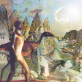 Feral Lands & Forbidden Cities Vinyl Record