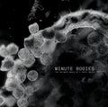 Minute Bodies: The Intimate World of F. Percy Smith Music CD