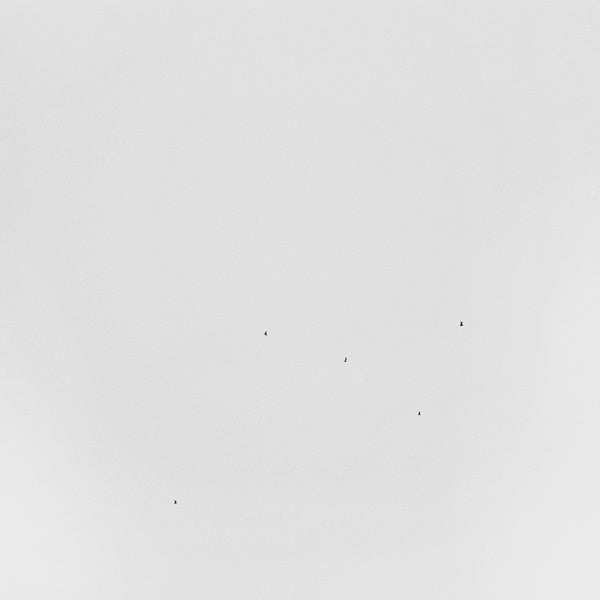 Conjectures Vinyl Record
