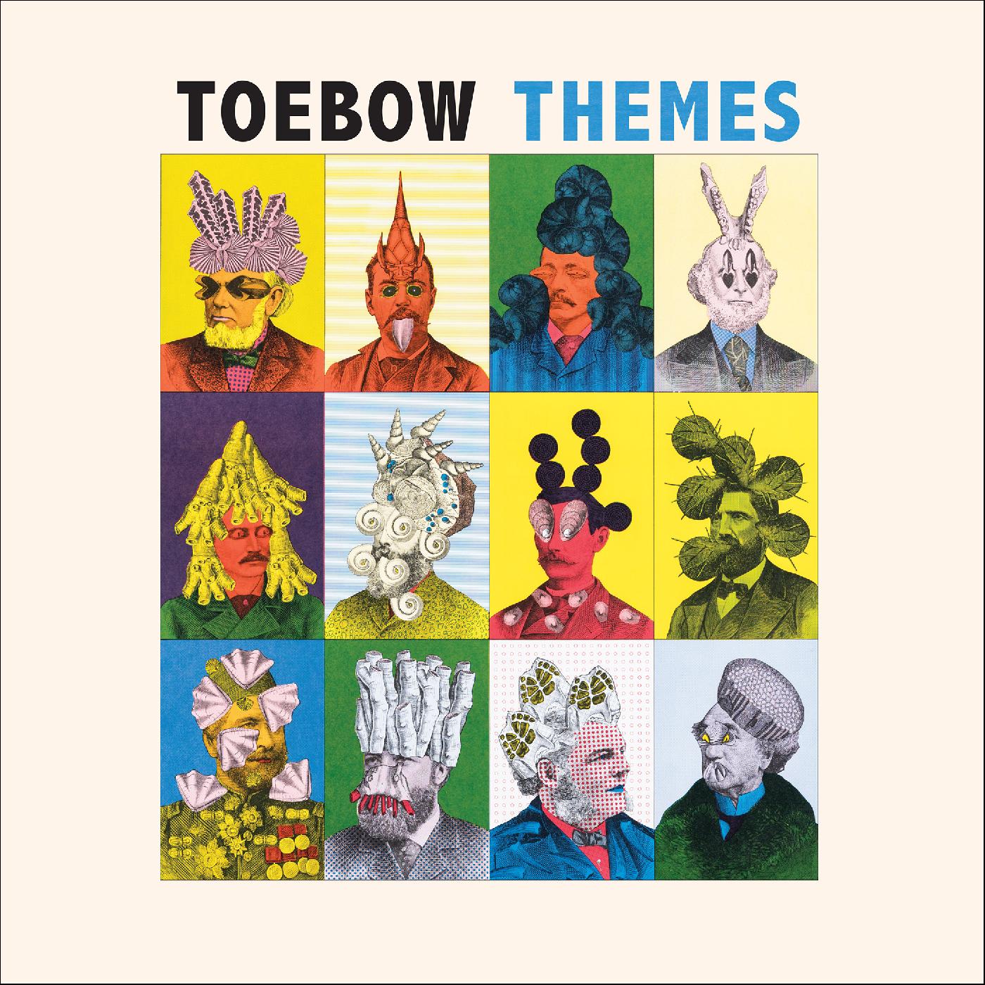 Themes Vinyl Record