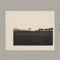 TOLERANCE - DIVIN Vinyl Record