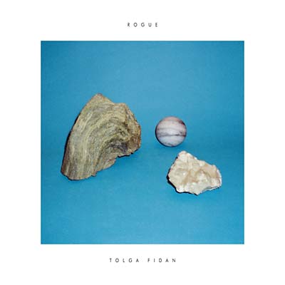 Rogue Music CD