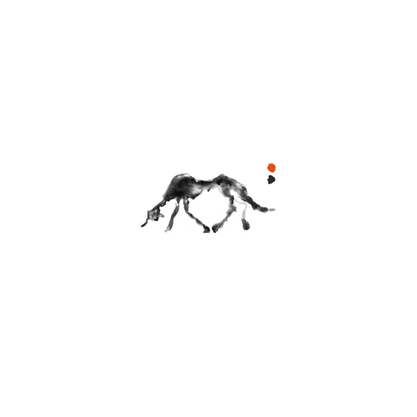 Daybreak [Lp] |