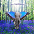 The Atlas Underground Flood Music CD