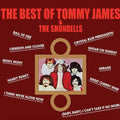 Tommy James & the Shondells - The Best Of Tommy James & The Shondells [Gold Vinyl] Vinyl Record