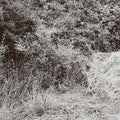 Liepen EP |