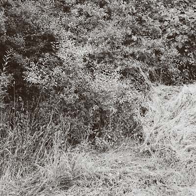Liepen EP |