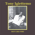 Hot Like Fire Music CD