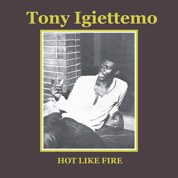 Hot Like Fire Music CD