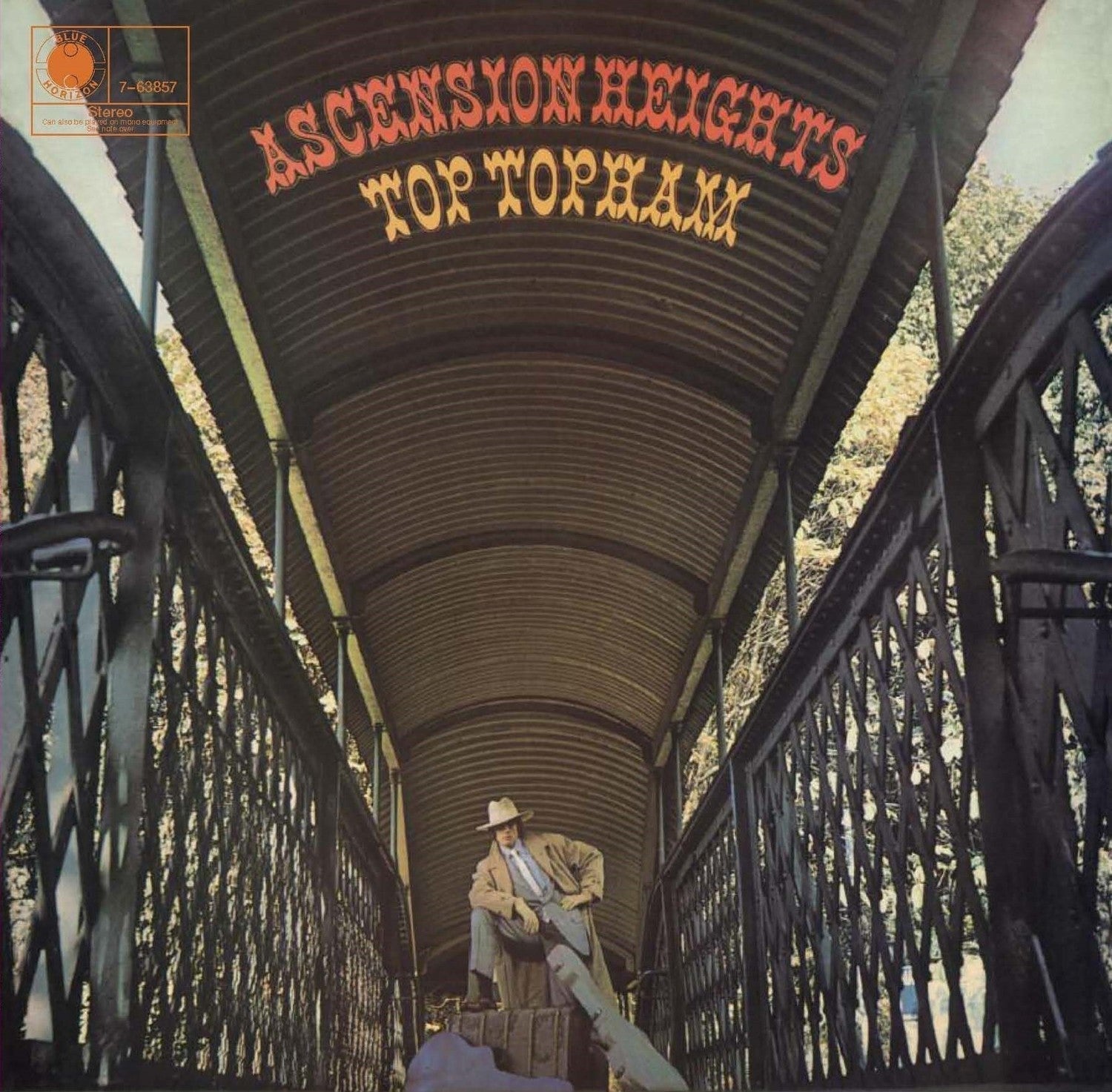 Ascension Heights Vinyl Record