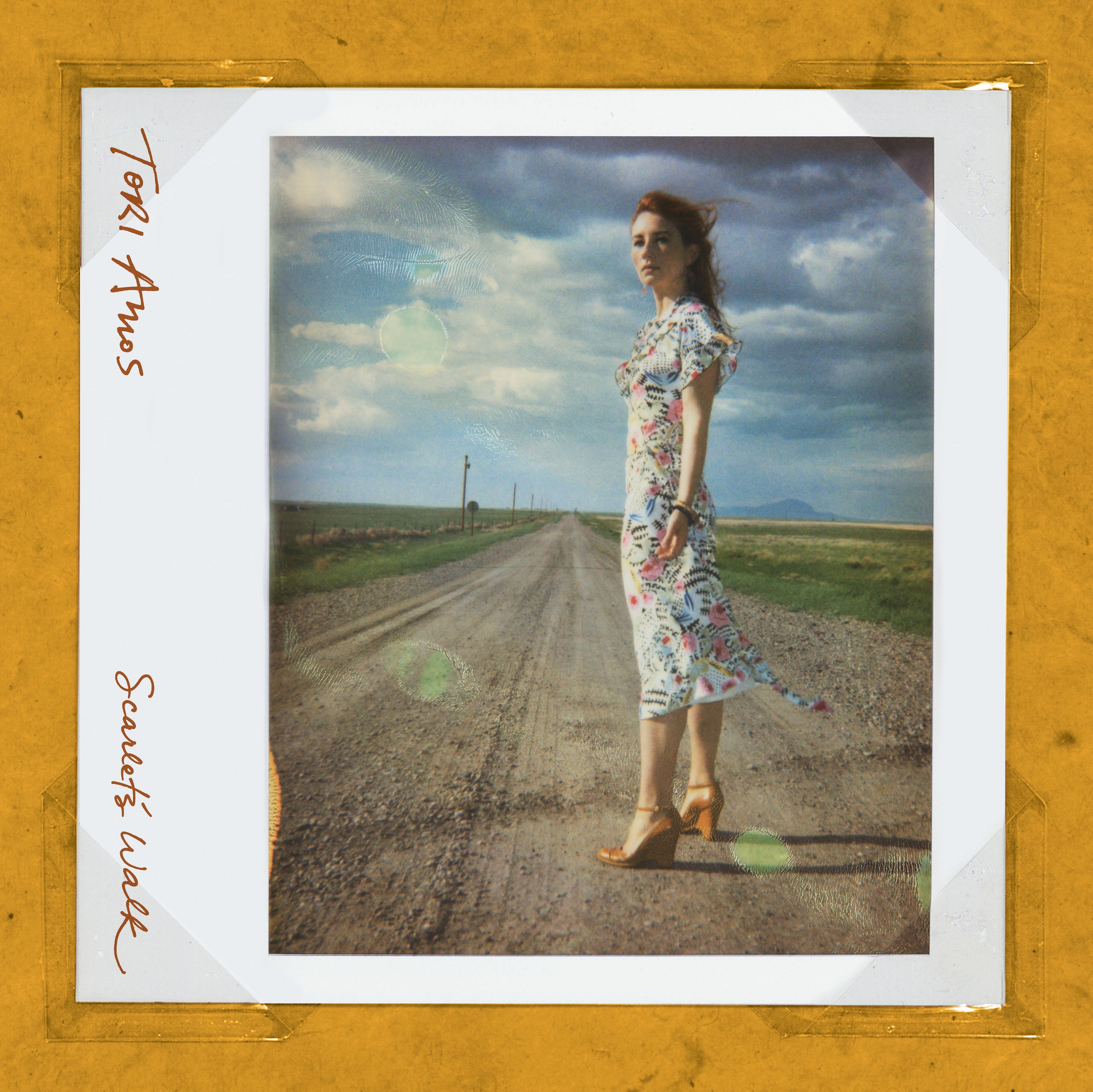 Scarlet's Walk Vinyl Record