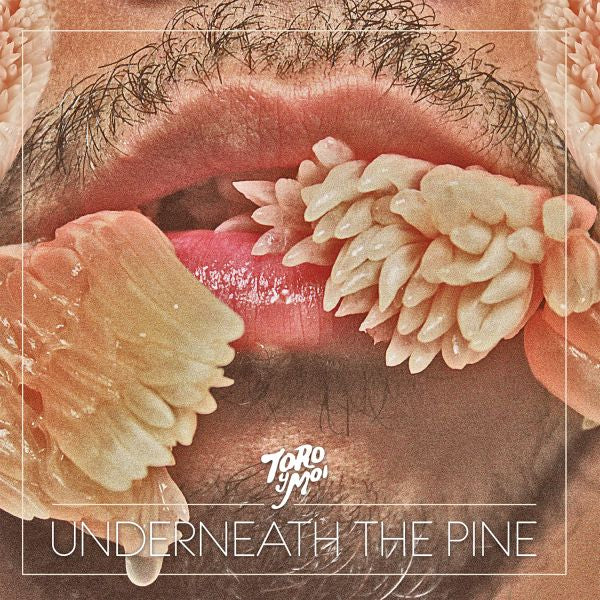 Underneath The Pine Music CD