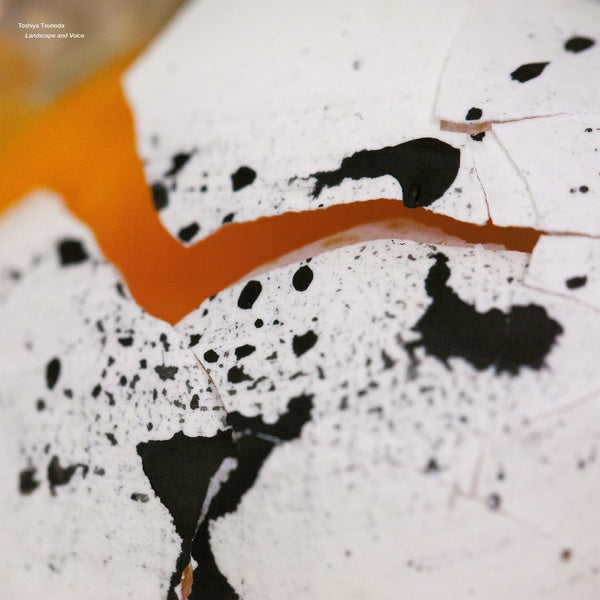 Landscape and Voice Vinyl Record