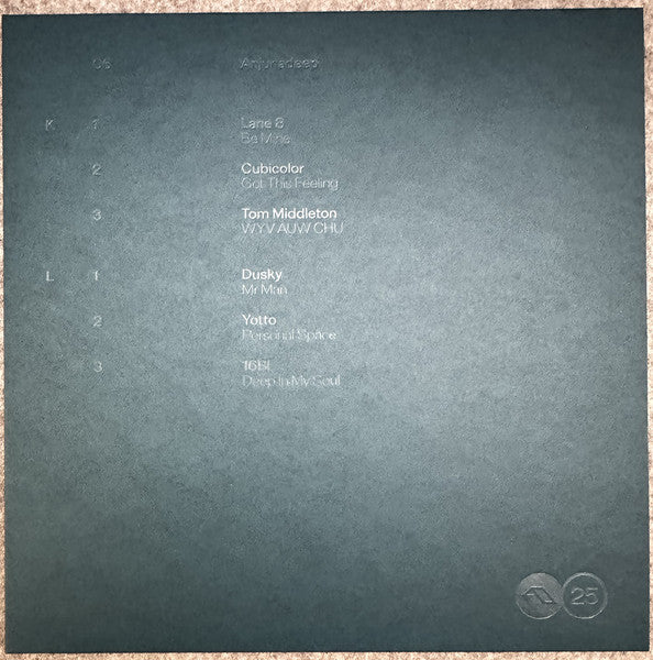Anjuna25 Anniversary Box Set (VINYL BOX) | Mint (M) Mint (M)