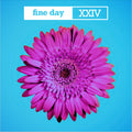 Fine Day XXIV (BLUE VINYL) | Mint (M) Mint (M)