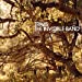 The Invisible Band (20th Anniversary) [LP] | Mint (M) Mint (M)