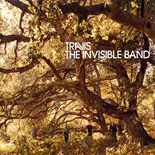 The Invisible Band (20th Anniversary) [LP] | Mint (M) Mint (M)