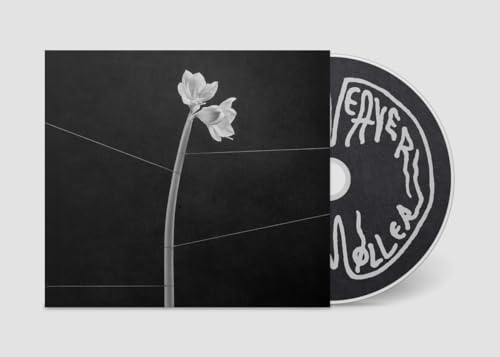 Dreamweaver Music CD