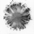Obverse Music CD