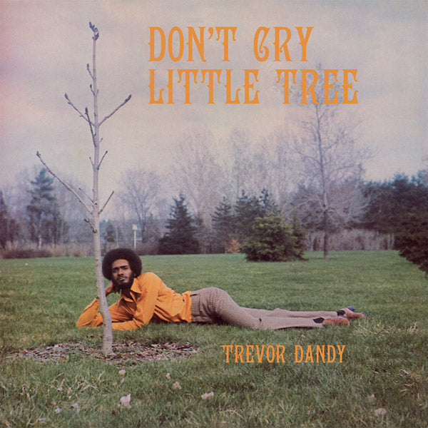 Don't Cry Little Tree Music CD