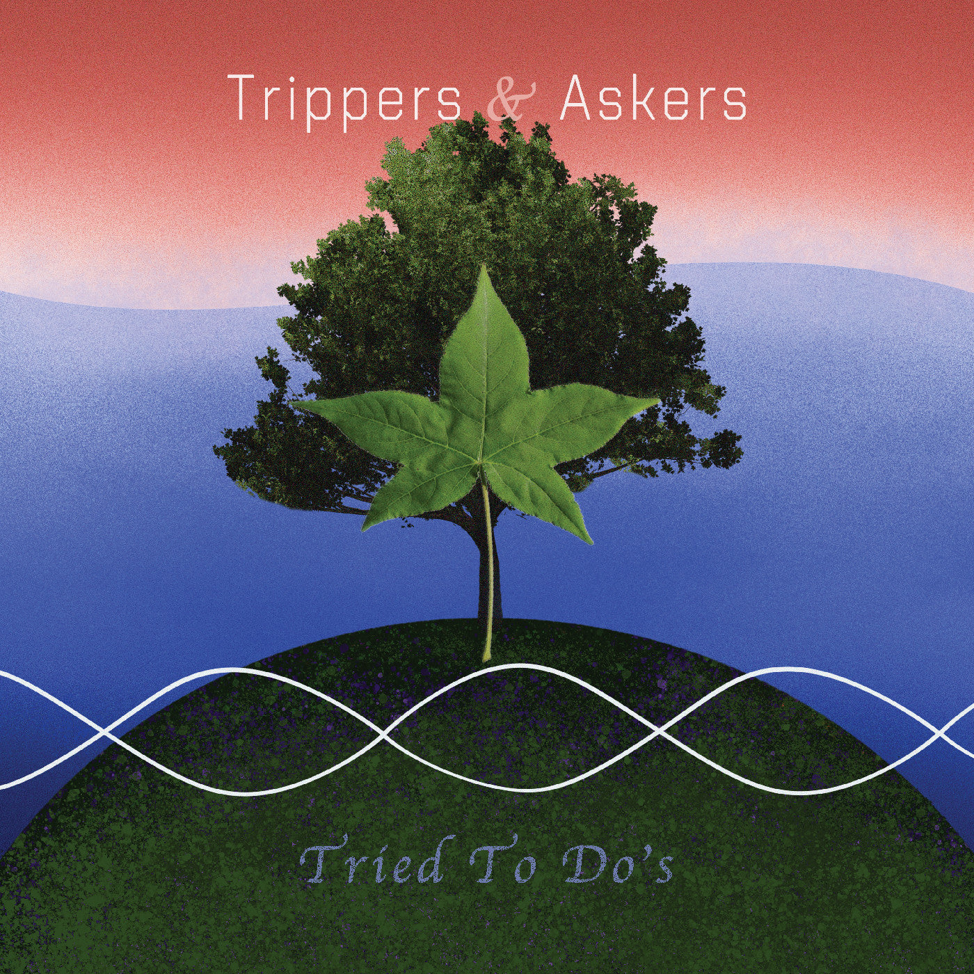 Trippers & Askers - Tried To Do'S Vinyl Record