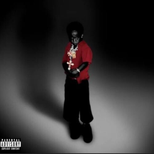 PRE-ORDER: Trippie Redd - NDA [Red Vinyl] Vinyl Record