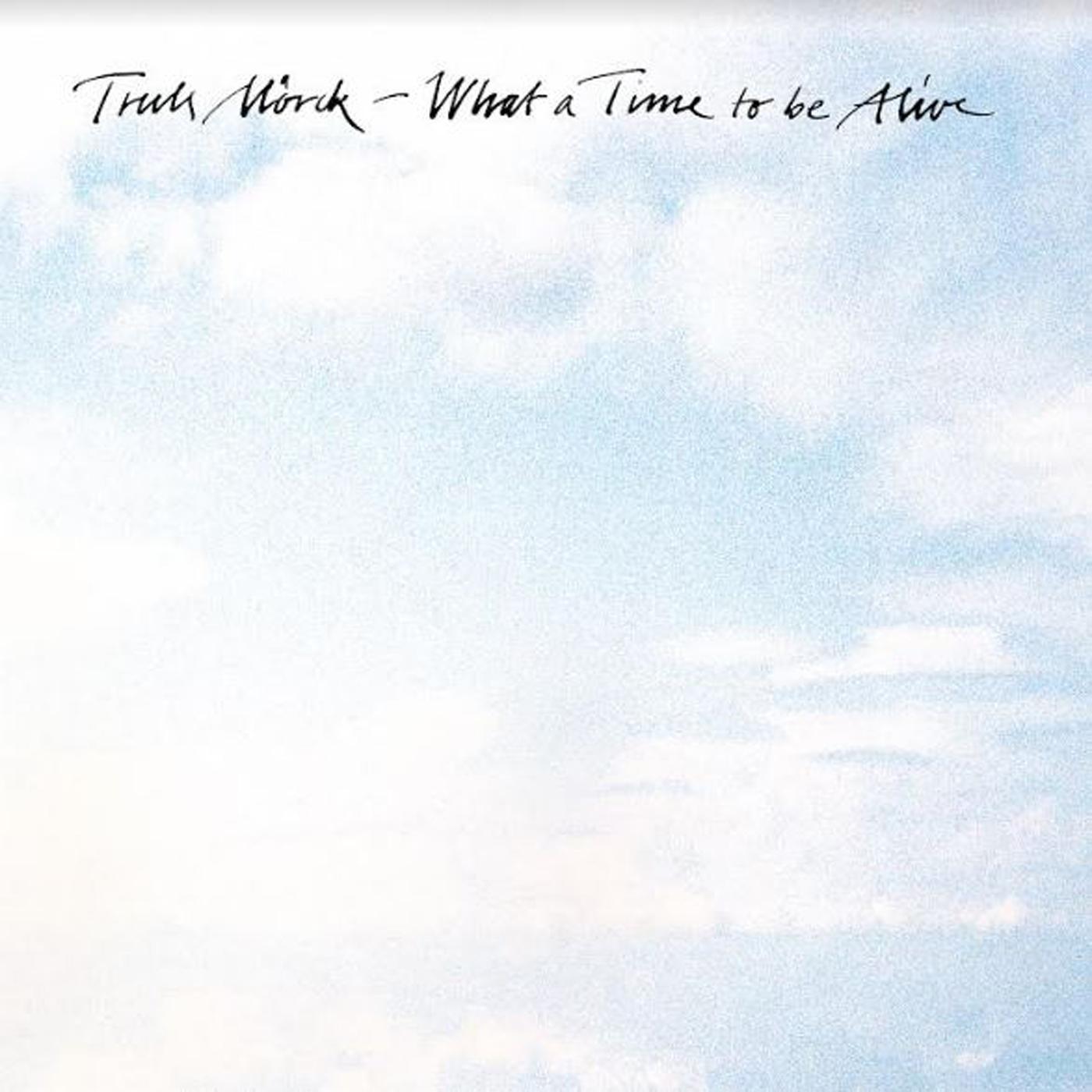 What a Time To Be Alive Vinyl Record