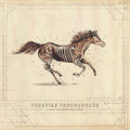 TURNPIKE TROUBADOURS A Long Way From Your Heart (2 Lp's) Vinyl Record
