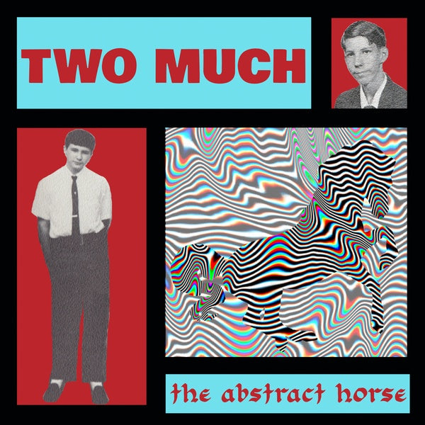 The Abstract Horse Vinyl Record