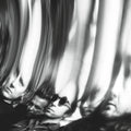PRE-ORDER Ty Segall - Chrome [Vinyl] Vinyl Record
