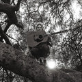 "Hello, Hi" Music CD