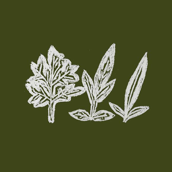 Variations of Weeds Music CD