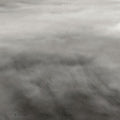 Pre-Order: Before The Sinking Plains [LP] Vinyl Record