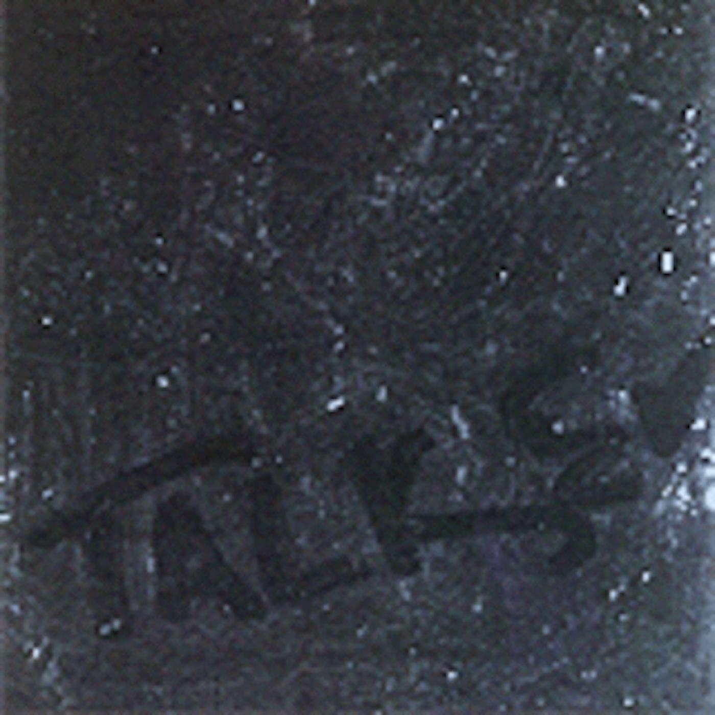 Talker Vinyl Record