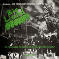 Big Lizard Stomp! Volume 2: Teen Trash from Psychedelic Tokyo '66-'69 Music CD