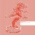 Denshi Ongaku No Bigaku (The Aesthetics of Japanese Electronic Music Vol 1) |