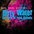 Dirty Water: The Birth Of Punk Attitude Music CD
