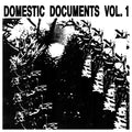 Va - Domestic Documents Vol. 1: Compiled by Butter Sessions and Noise In My Head Vinyl Record